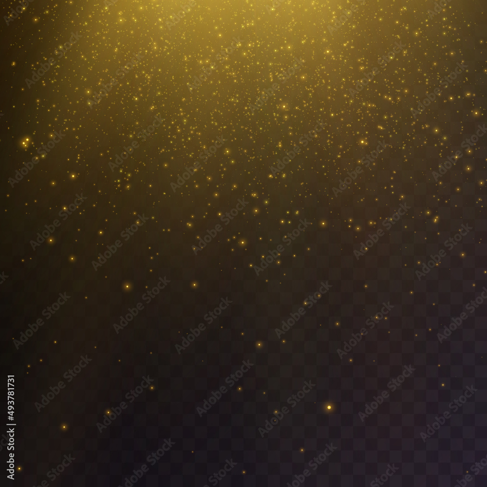 Glowing light effect with many glitter particles isolated on transparent background. Vector star cloud with dust.
Glowing light effect with many glitter particles isolated on transparent background. Vector star cloud with dust.