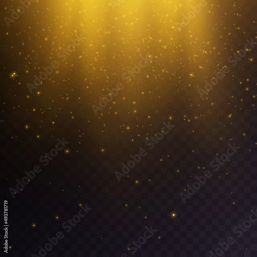 Vector transparent falling sunlight special lens, flare light effect. Vector blur in a glow of light with many twinkling golden fireflies.
