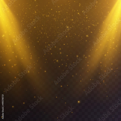 Vector transparent falling sunlight special lens, flare light effect. Vector blur in a glow of light with many twinkling golden fireflies.