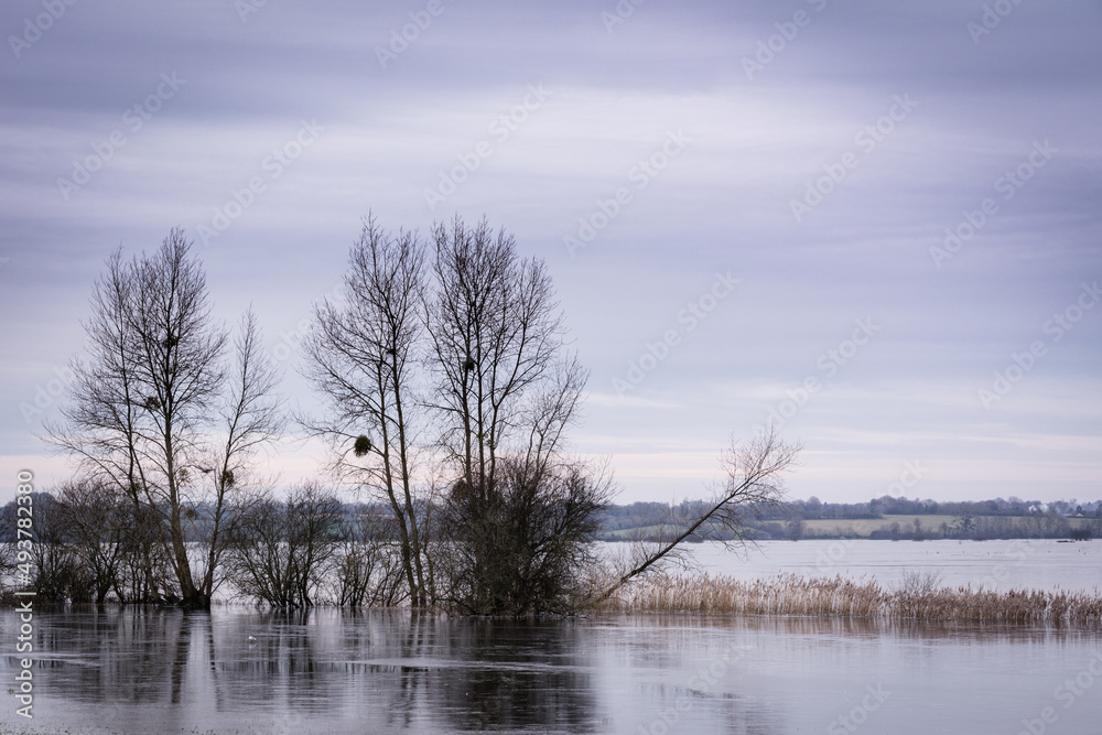 Fototapeta premium nouvelle 2022/34
