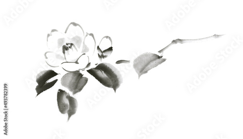 開いた花と蕾のシンプルな椿　水墨画