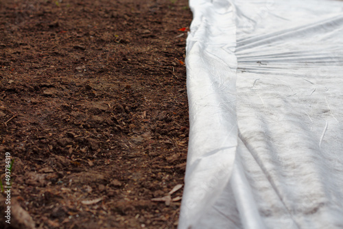 Brown soil with small seeds and covering tissue, selective focus.