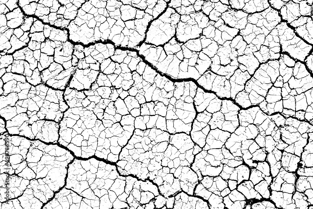 Close up of summer. Patterns and texture cracked soil of sunny dried earth soil, Drought of the ground. Dried cracked earth soil ground black and white color Close up of summer. Patterns and texture cracked soil of sunny dried earth soil, Drought of the ground. Dried cracked earth soil ground black and white color