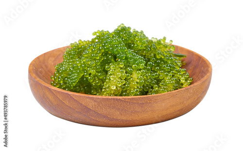 close up Green Caviar or Caulerpa lentillifera in wooden bowl isolated on white background with clipping path. seaweed, Sea grapes                                          photo