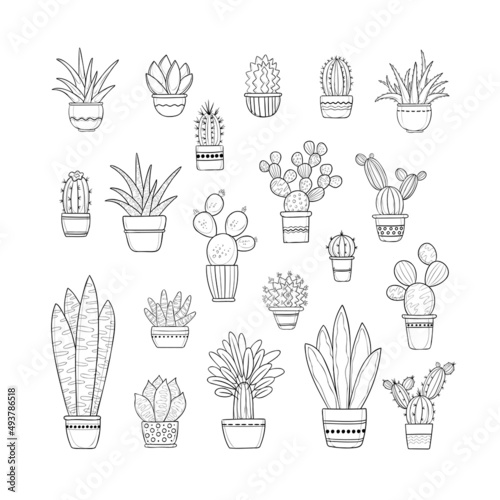 Vector set of cacti in pots, black outlines isolated on white background. Cactus and aloe. Homeplants and flowers in decorative pots. Doodle design.