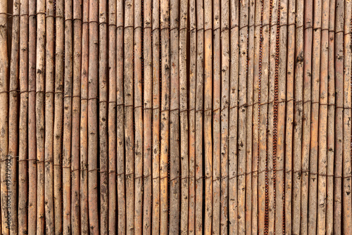 Old Bamboo Fence Texture