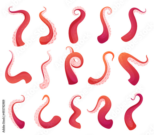 Collection octopus tentacles different shape vector sea squid creature underwater monster