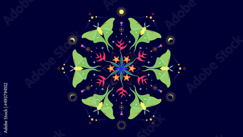 Luna Moth Design, Graphic Ornamental Kaleidoscope, Botanical Mandala, Astronomy Moon, Vector Illustration, Ideas For Packaging Design, Geometric Tropical Wildlife