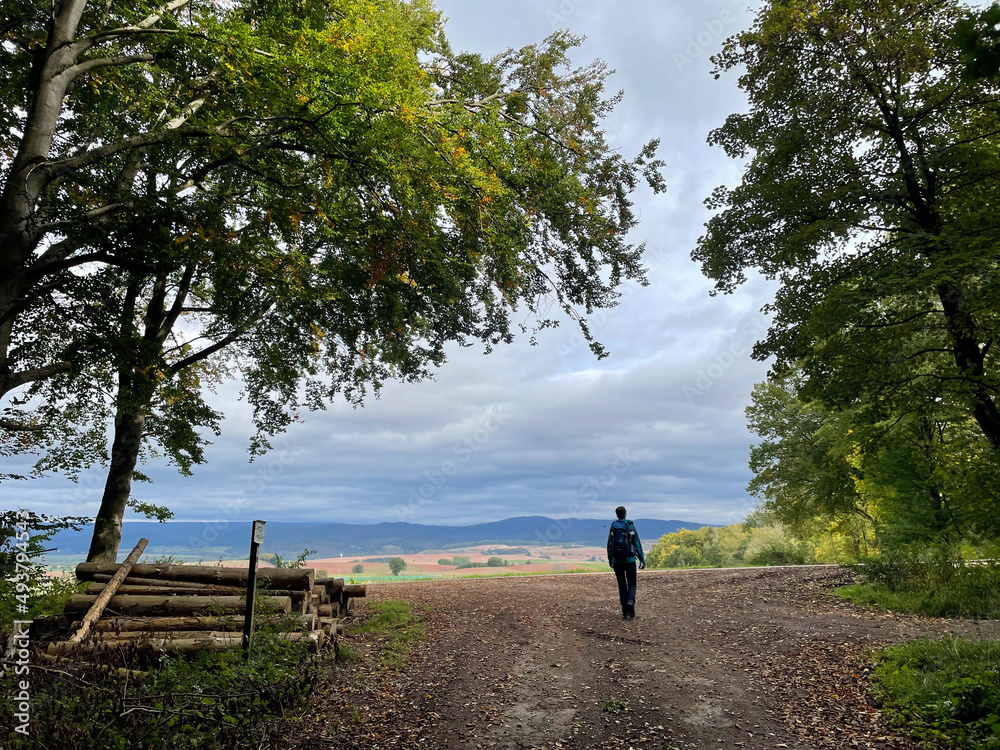 person walking on a path