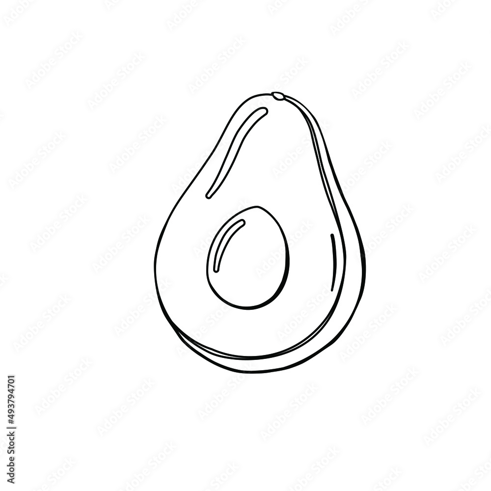 Vector avocado illustration. Black and white avocado line art sketch. Vector avocado illustration. Black and white avocado line art sketch.