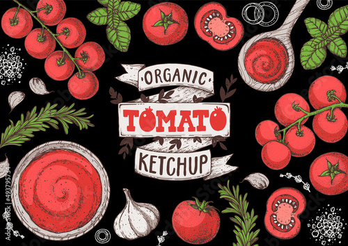 Tomato sauce, ketchup cooking and ingredients frame. Hand drawn vector illustration. Homemade tomato sauce, design elements. Hand drawn package design.