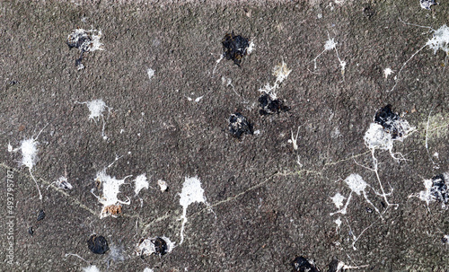 Lots of bird poop on asphalt concrete road background. photo