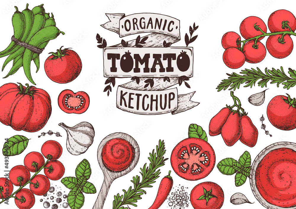 Tomato sauce, ketchup cooking and ingredients frame. Hand drawn vector ...