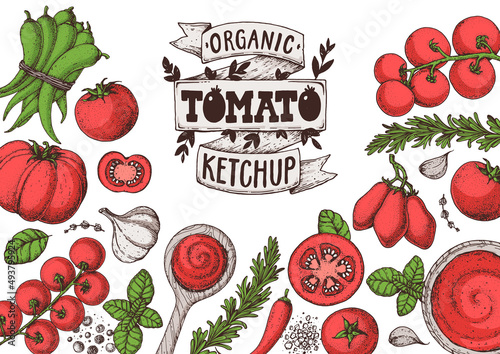 Tomato sauce, ketchup cooking and ingredients frame. Hand drawn vector illustration. Homemade tomato sauce, design elements. Hand drawn package design.