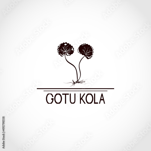 Gotu kola grass. Centella asiatica. Logo, icon, emblem.