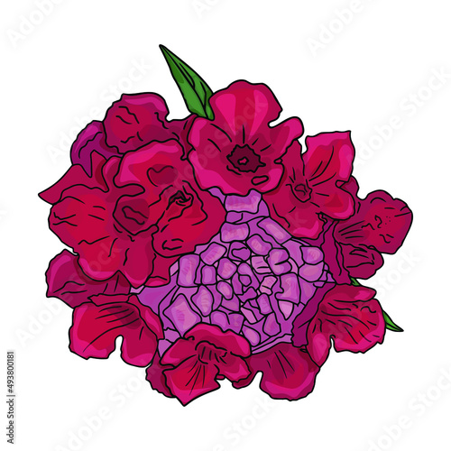 Isolated illustration of flowers and leaves. Flower as a blank for designers, logo, print, emblem