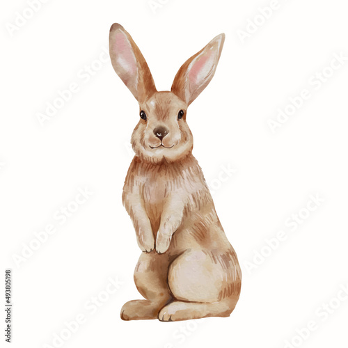 Easter Bunny Watercolor Illustration isolated on white background. Cute rabbit hand drawing vector