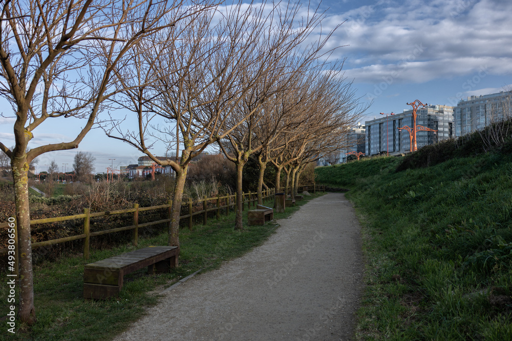 Walking path in the park, near the city Walking path in the park, near the city