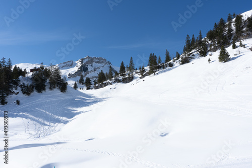 Queen of the mountains, mount rigi is located in the heart of switzerland. Rigi excites her summer visitors with wonderful views of the lakes and mountains as well as an impressive variety of alpine f