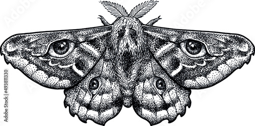 Moth with human eyes illustration, drawing, engraving, ink, line art, vector