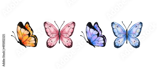 Colorful butterflies watercolor isolated on white background. Blue, orange, purple and pink butterfly. Spring animal vector illustration photo