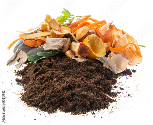 organic compost - biodegradable kitchen waste and soil