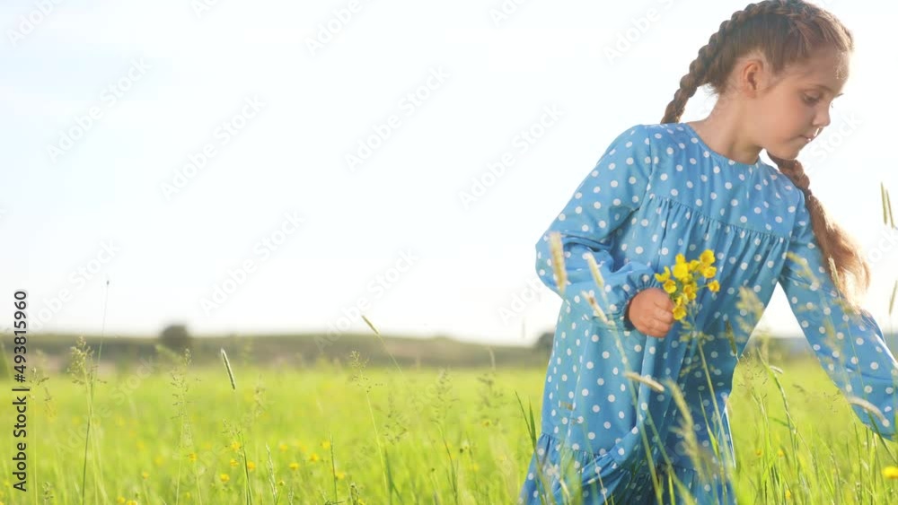 Vidéo Stock child in the park. little girl picking flowers in a field