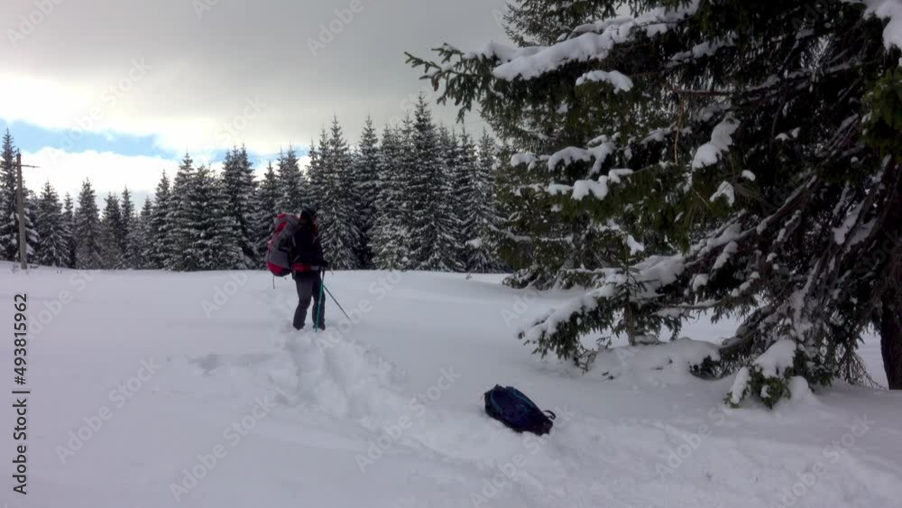 Happy Hiker With Headset and Snowshoes And Backpack Walking In Mountain Winter Forest, Covered With Deep Snow. Winter Sky With Moving Clouds Happy Hiker With Headset and Snowshoes And Backpack Walking In Mountain Winter Forest, Covered With Deep Snow. Winter Sky With Moving Clouds