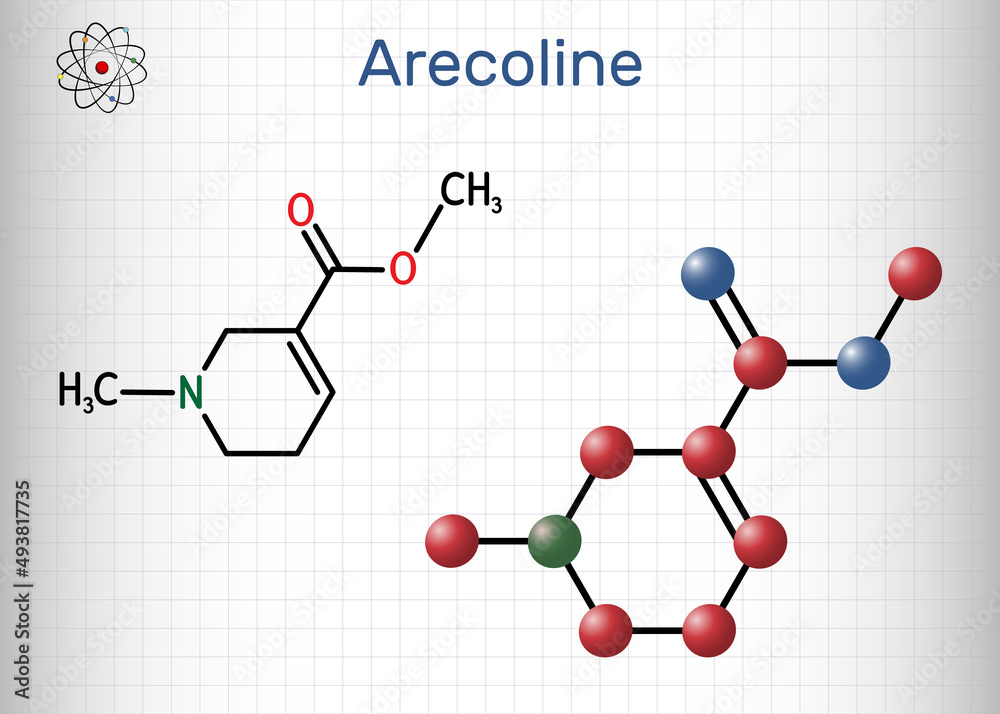Arecoline molecule. It is lkaloid obtained from the betel nut, Areca catechu. Structural chemical formula and molecule model. Sheet of paper in a cage Arecoline molecule. It is lkaloid obtained from the betel nut, Areca catechu. Structural chemical formula and molecule model. Sheet of paper in a cage