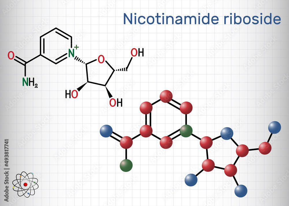 Nicotinamide riboside, NR, SR647 molecule. It is N-glycosylnicotinamide, pyridine nucleoside similar to vitamin B3. Structural chemical formula, molecule model. Sheet of paper in a cage Nicotinamide riboside, NR, SR647 molecule. It is N-glycosylnicotinamide, pyridine nucleoside similar to vitamin B3. Structural chemical formula, molecule model. Sheet of paper in a cage