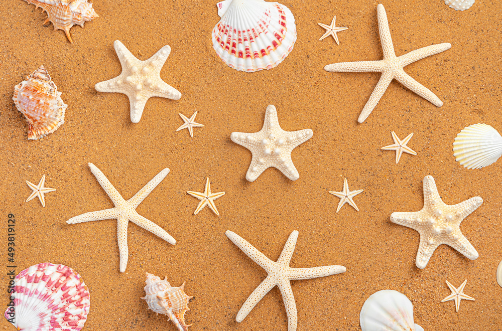 Starfish of different shapes and shells on the sand. Starfish of different shapes and shells on the sand.