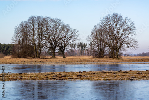 Przedwiośnie w Dolinie Narwi i Biebrzy, Podlasie, Polska