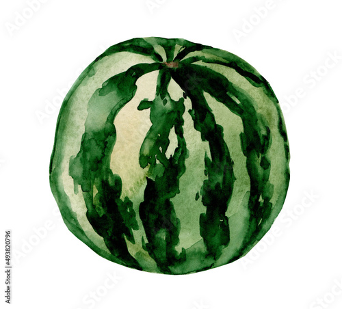 Hand drawn watercolor painting isolated on white background. hand drawn fruit watermelon illustration