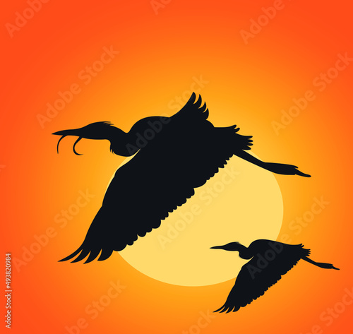 Silhouette of a bird flying and the sunset, bird silhouette vector illustration, Cranes flying Silhouette Illustration.
