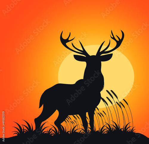 silhouette of deer  Reindeers Silhouette with Sunset Vector Illustration