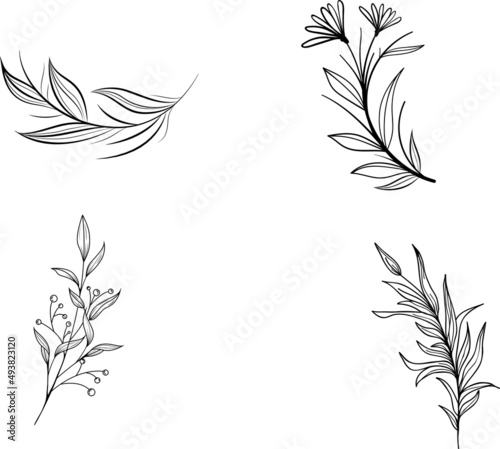 black floral elements. Floral decorative collection. Set of decorative calligraphic. vintage rose and leaves. vintage rose and leaves