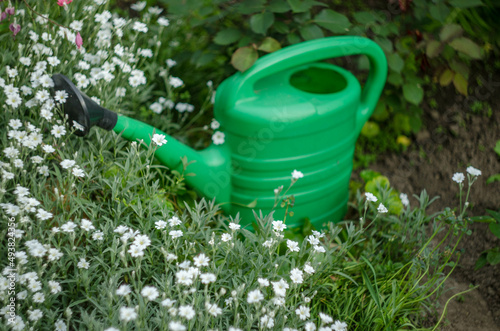 watering can in garden