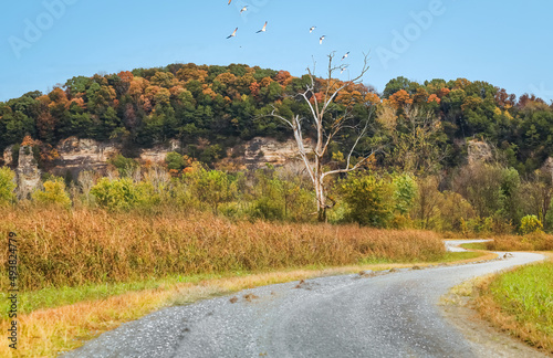 View of Missouri River floodplain in fall; woody river bluffs and blue sky with flying birds in background