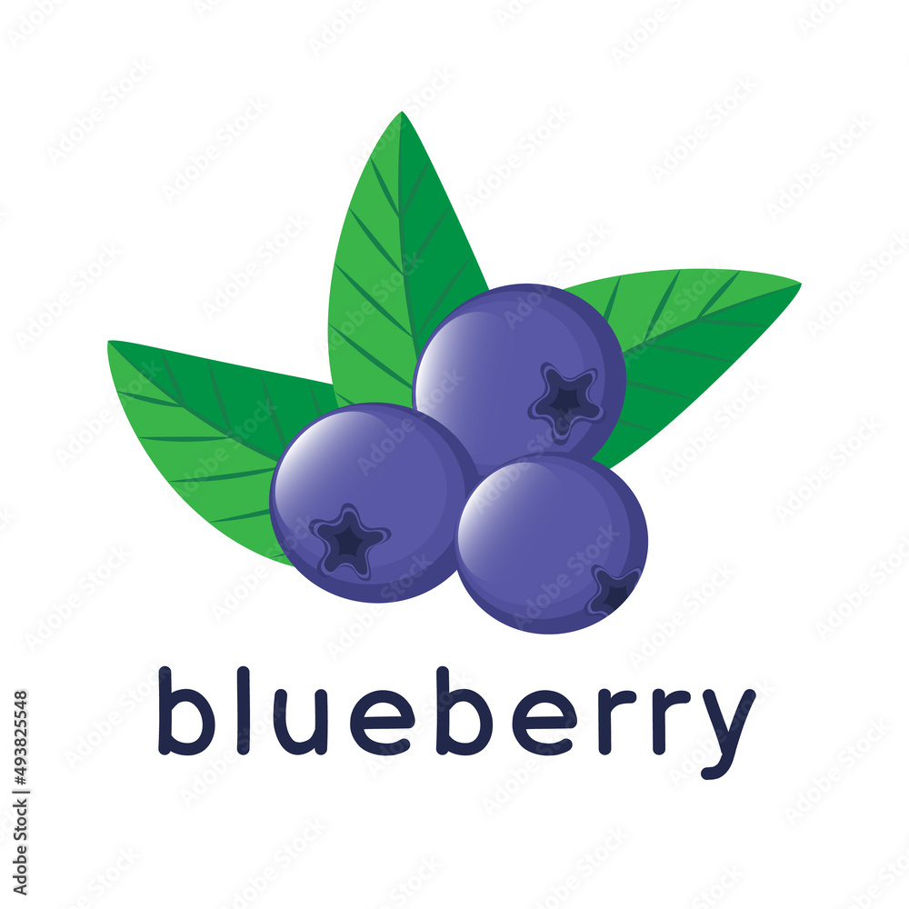 blueberry illustration. Cartoon vector set of berries