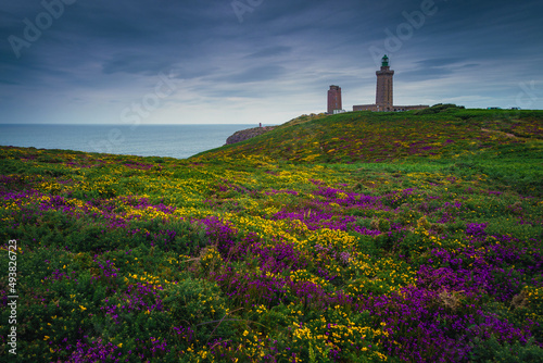 Flowery meadow and old lighthouse in background, Cap Frehel, France