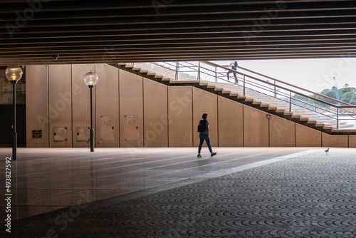 people walking in the city