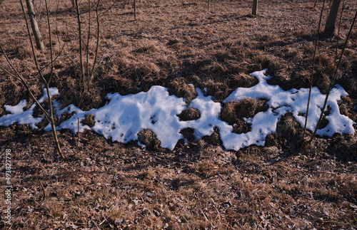 Spring landscape, snow melts on the ground.