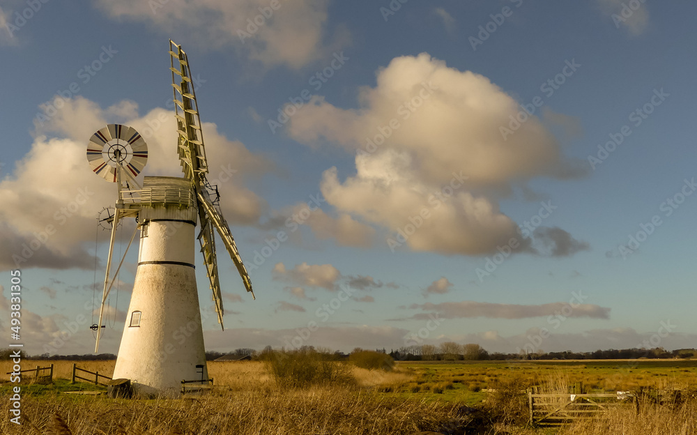 Iconic view of a restored historic Norfolk drainage mill, with sails on a sunny Spring morning. Set in flat fields, with blue sky and cloud formations. Landscape image with space for copy. Thurne, UK