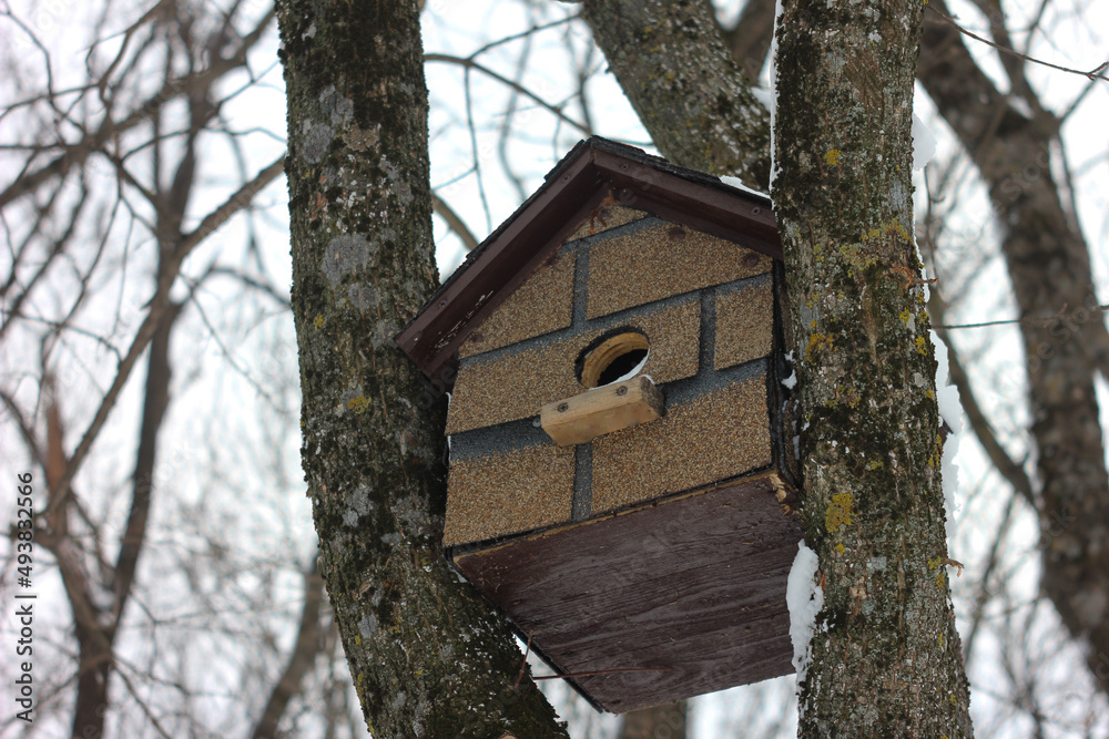 birdhouse on a tree birdhouse on a tree