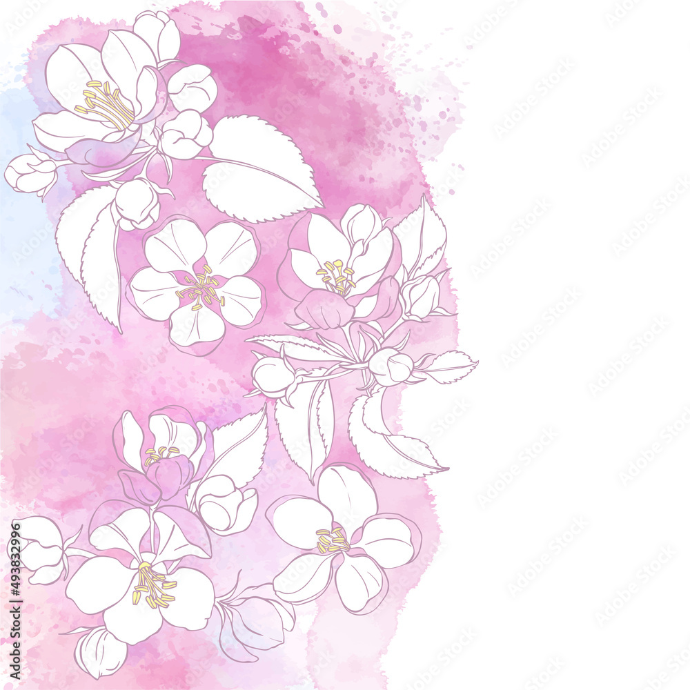 Floral background with blooming apple tree branches on pink watercolor background. Vector. Invitation, greeting card or an element for your design. Vertical composition.