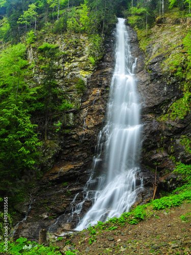 Vertical panorama of Scorusu waterfall flowing out of a coniferous forest off a vertical cliff. Capatanii Mountains, Carpathians, Romania. 