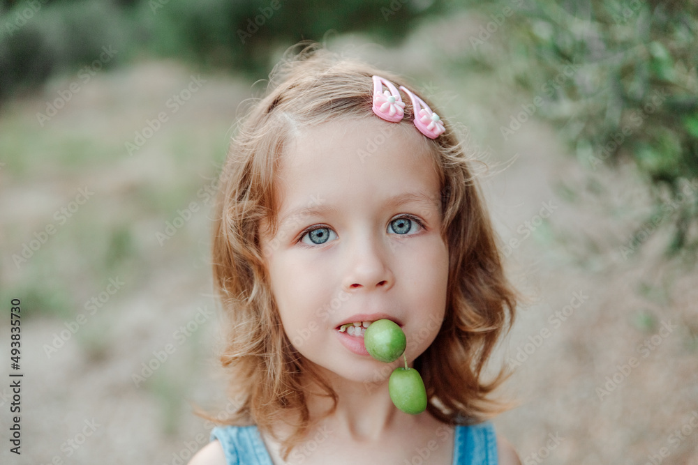 Portrait of pretty little blue-eyed girl in an olive grove. Portrait of pretty little blue-eyed girl in an olive grove.