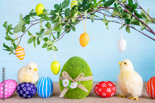 Leinwand Poster Easter composition with two yellow fluffy fledgling chickens and hand painted Easter Eggs against the blue wooden background with branches with green leaves