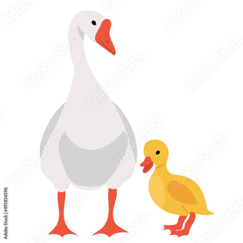goose and gosling flat design, isolated, vector