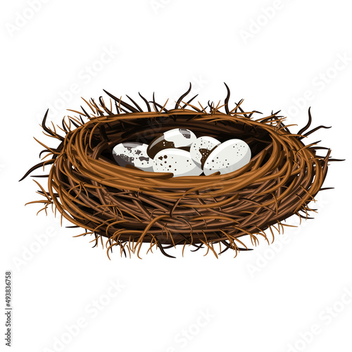 Vector image of a bird's nest with eggs. EPS 10